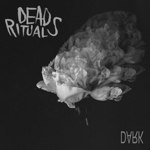 Dark (Live at Studio G Brooklyn 2024)