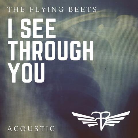 I See Through You (Acoustic)