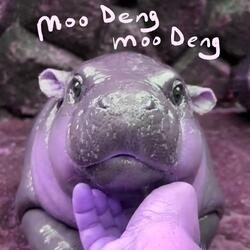 Moo Deng Moo Deng (feat. Late Cambrian)