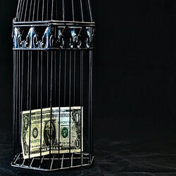Started With A Dollar