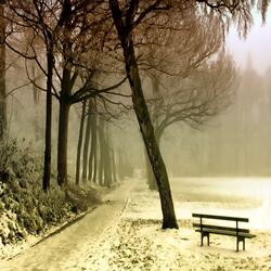 Changing Seasons