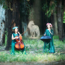 The forest of my dreams