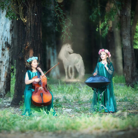 The forest of my dreams