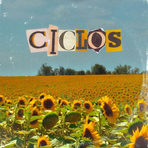 Ciclos