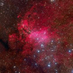 Distant stars