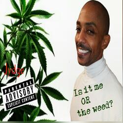 Is it me or the weed?