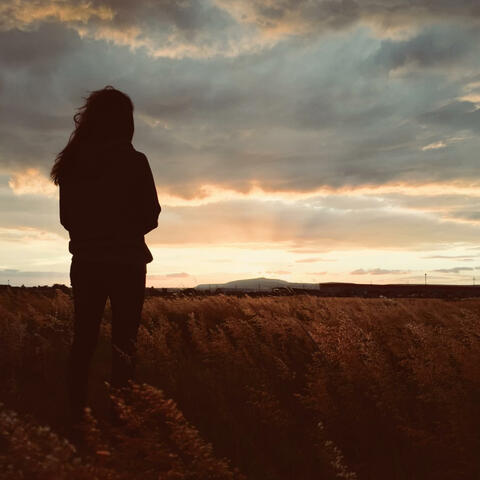 Dream