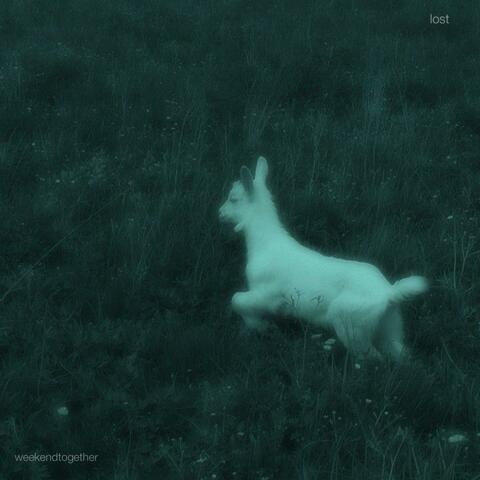 Lost