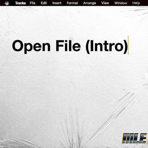 Open File (Intro)