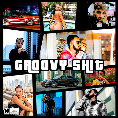 GROOVY SHIT