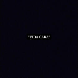 Vida Cara