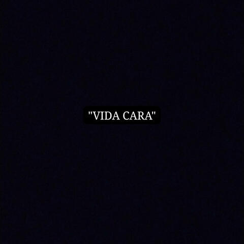 Vida Cara