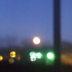 FOE 2Cool- Under The Bridge