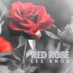 Red Rose