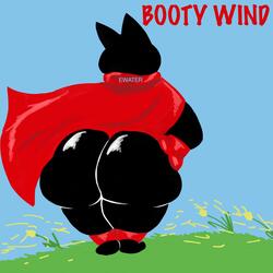 BOOTY WIND