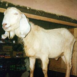 crossing the river lethe