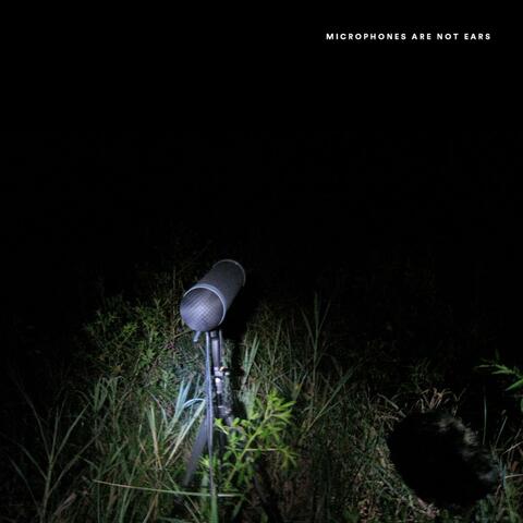 Microphones Are Not Ears