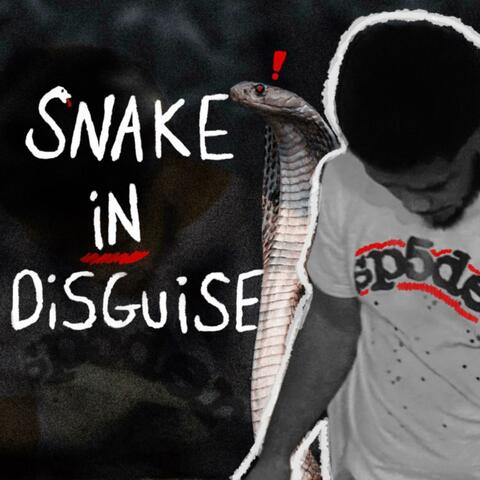 Snake In Disguise
