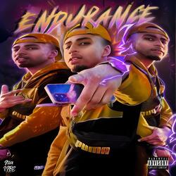 ENDURANCE