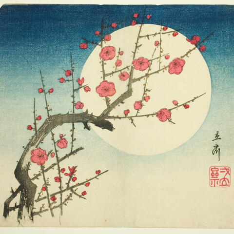 Pale Light (feat. halberd & Airrose)