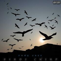 Birds Chirp
