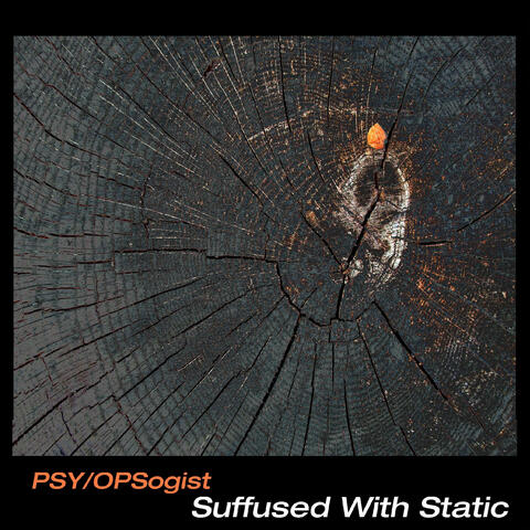 Suffused With Static