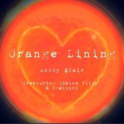 Orange Lining (2015)