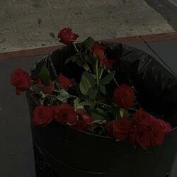 dead roses