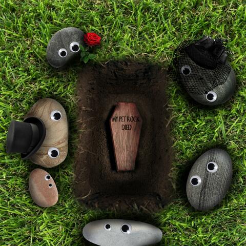 My Pet Rock Died
