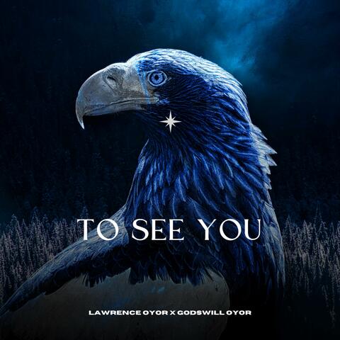 To See You