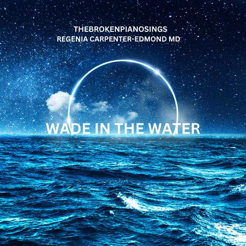 WADE IN THE WATER