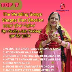 VEERA TERI GHORI SADDE DARWAJE KHADI