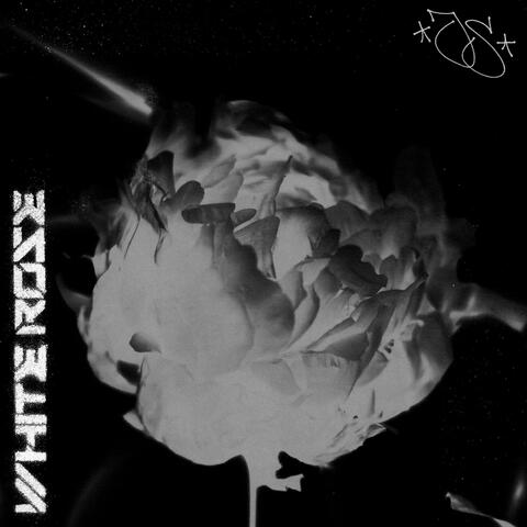 White Rose