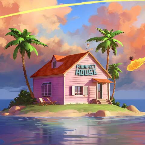 Purrfect House