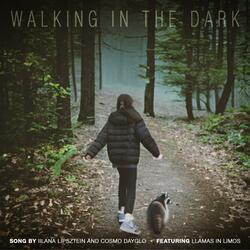 Walking In The Dark