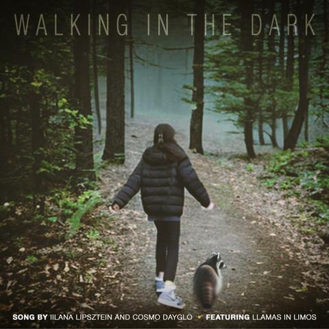 Walking In The Dark