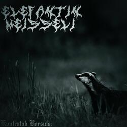 Virtahevolla on erektio