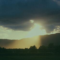 Blanco, Negro y Color