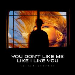 You Don't Like Me, Like I Like You
