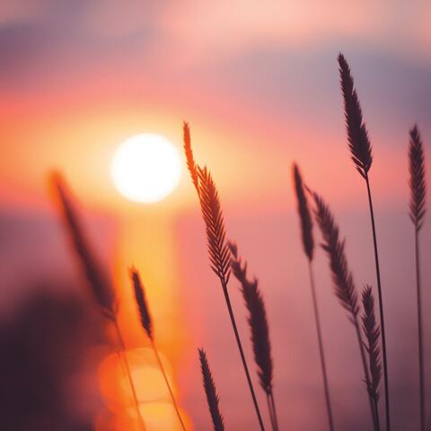 Calm Atmospheric Dream