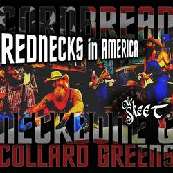 Rednecks in America