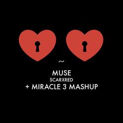 Muse