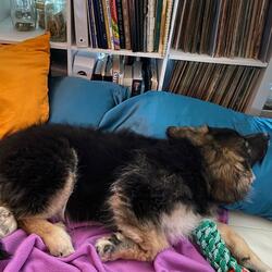 Kaleidoscope Lights (feat. Kytra)