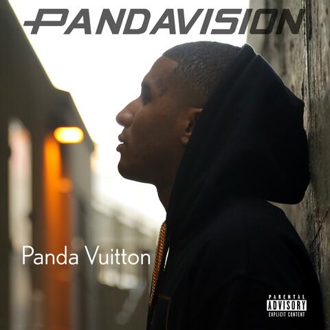 Pandavision 2024