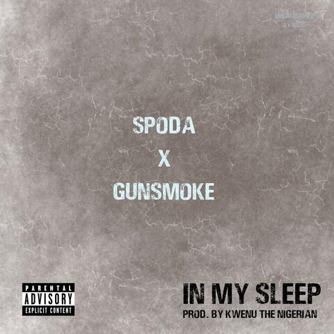 In My Sleep (feat. GunSmoke)