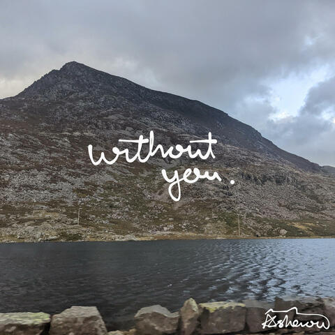 Without You