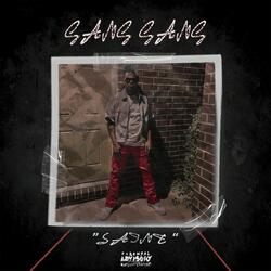Gang Gang