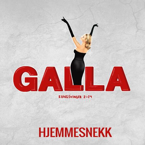 Galla 2024 (Hjemmesnekk)