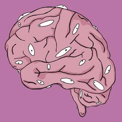 Brain