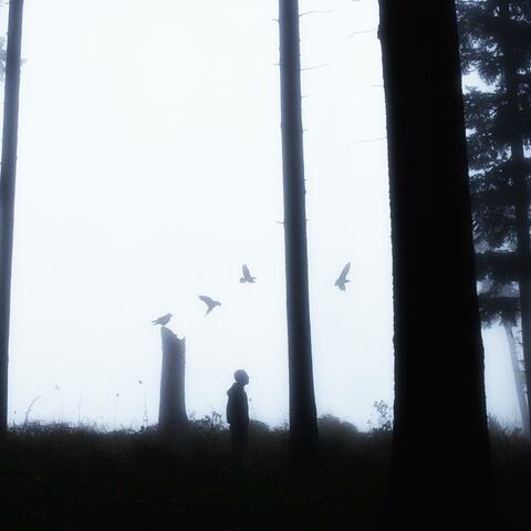 Loner (feat. Innocent)